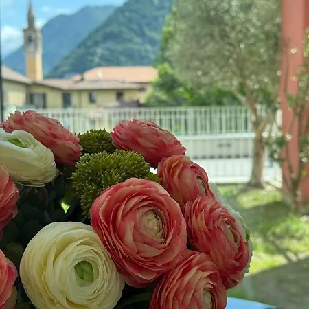 Borgo Vico Luxury Apartman